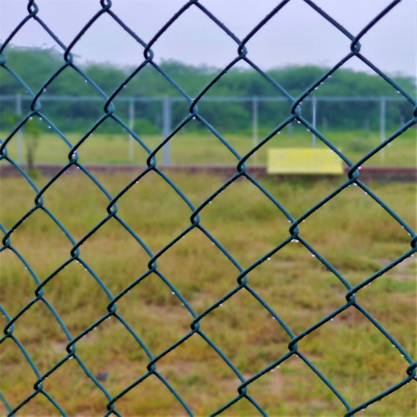 chain link fence green